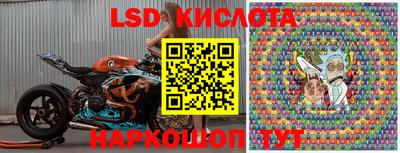 стафф Нальчик
