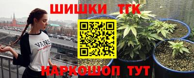 стафф Нальчик