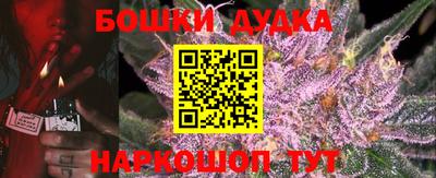 стафф Нальчик