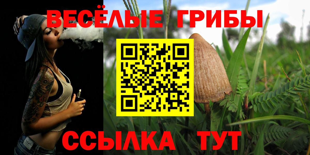 Галлюциногенные грибы Magic Shrooms  купить   Южноуральск  Галлюциногенные грибы GOLDEN TEACHER  Вход с VPN 